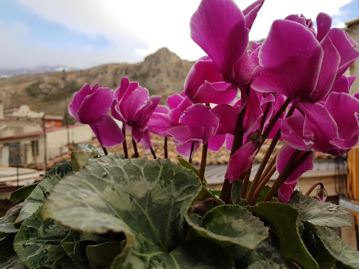 Il Vicoletto Bed and Breakfast Frascineto Rum bild