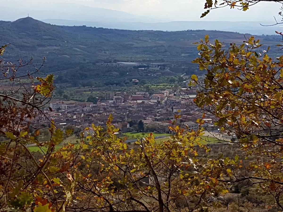 Il Vicoletto Bed and Breakfast Frascineto Exteriör bild